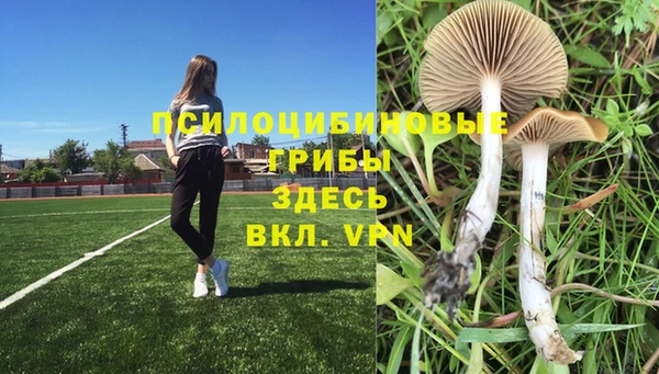MDMA Premium VHQ Абинск