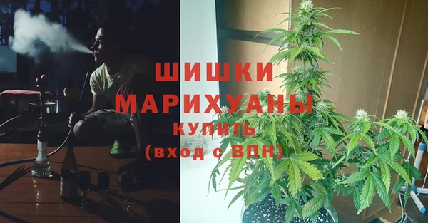 сатива Абаза