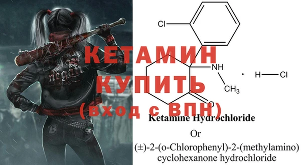 сатива Абаза